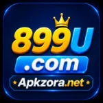 899U Game logo