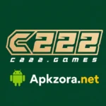 C222 Game